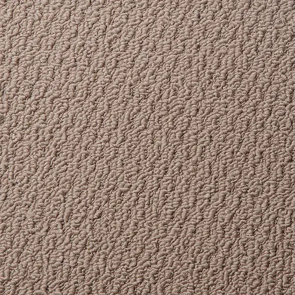 Beaulieu Solution Dyed Polypropylene Carpet